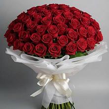 Букет 101 Красная роза Блэк Мэджик в Дединово