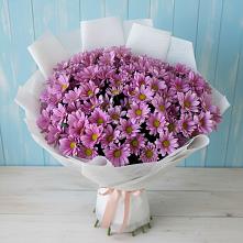 Букет цветов из:  Хризантемы #REPLACE_PRED# Дединово