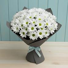 Букет цветов из:  Хризантемы в Дединово