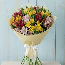 Букет цветов из:  Альстромерии в Дединово