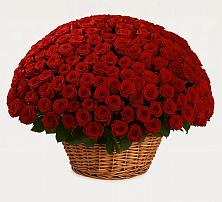 Премиум букет из: Розы в Дединово